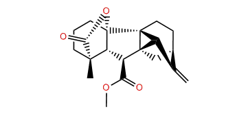 Gibberelline GA103 methyl ester